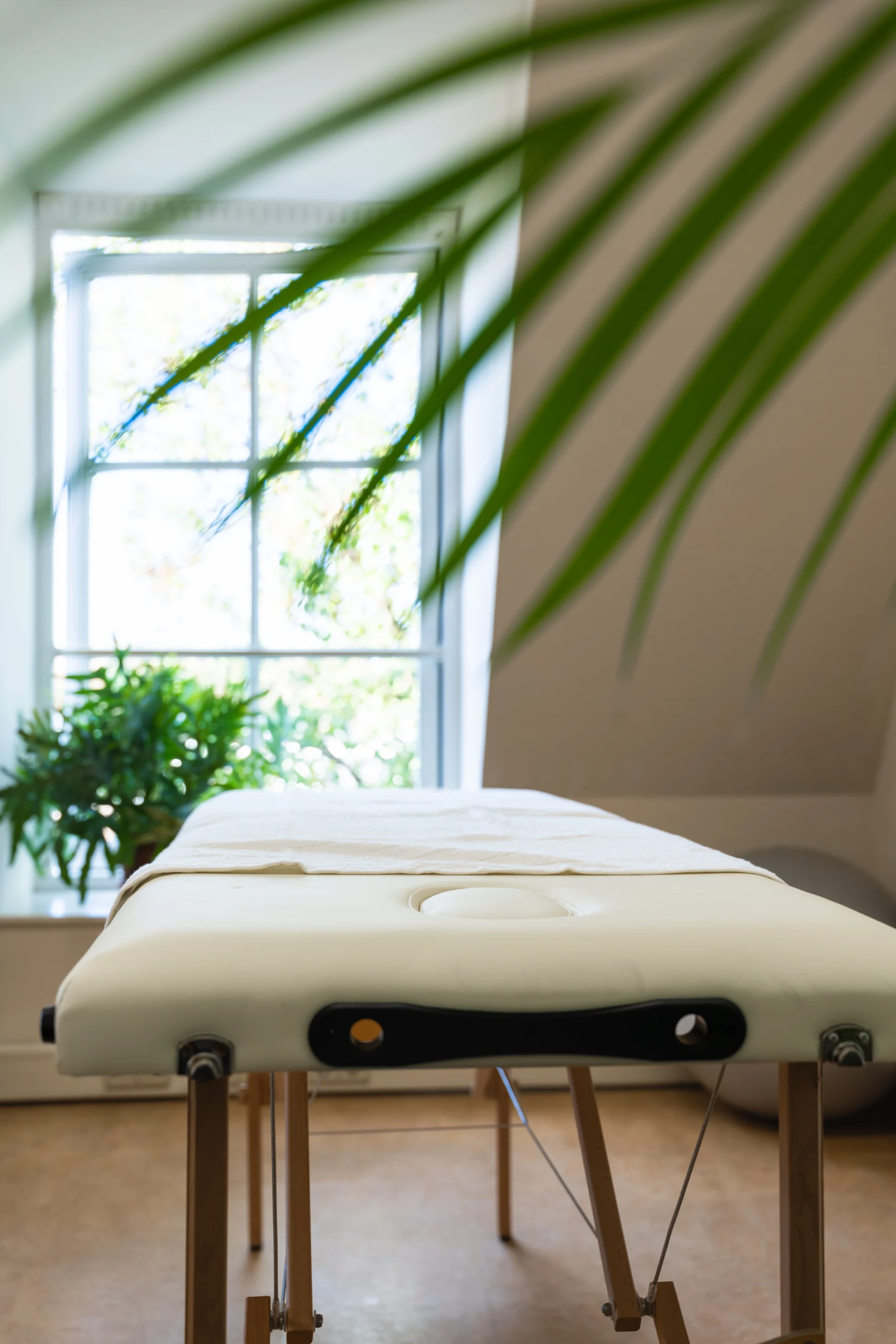 Behandeltafel in rustige praktijkruimte voor haptotherapie in Utrecht met daglicht en planten
